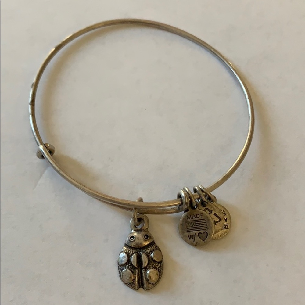Alex and Ani bracelet